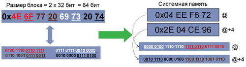 d